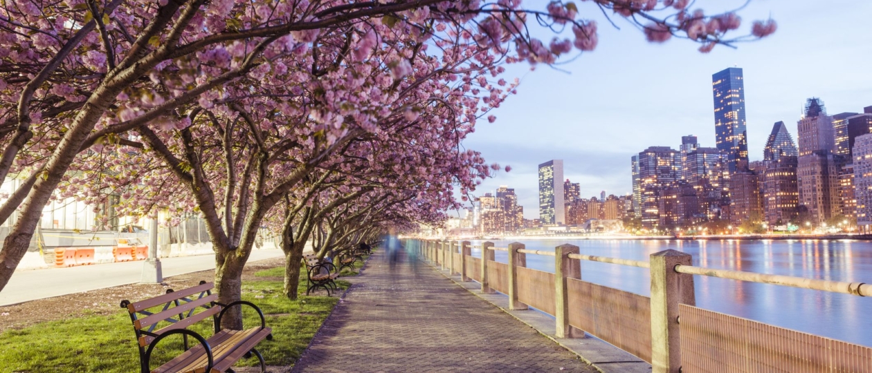 10 Things to Do in New York This Spring for Coliving Residents